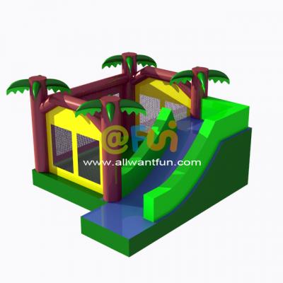 Inflatable combo jumping bouncer